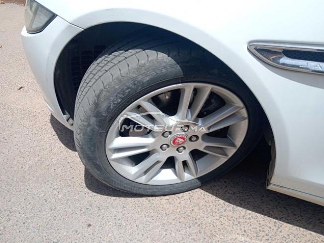 KIFAL - JAGUAR XE
