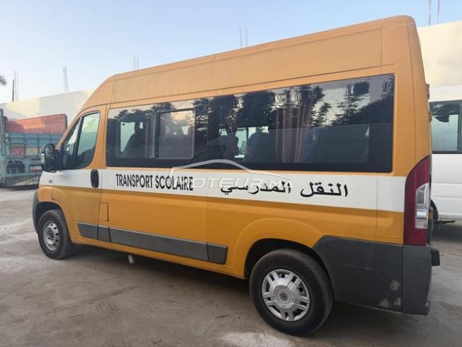Fiat Ducato Transport Scolaire 
