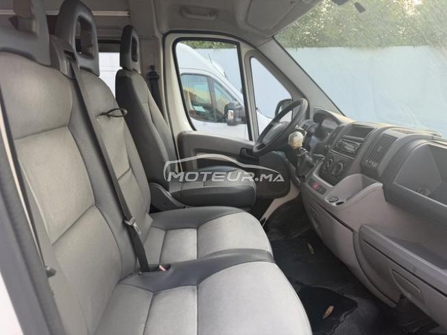 Fiat Ducato Transport Scolaire 