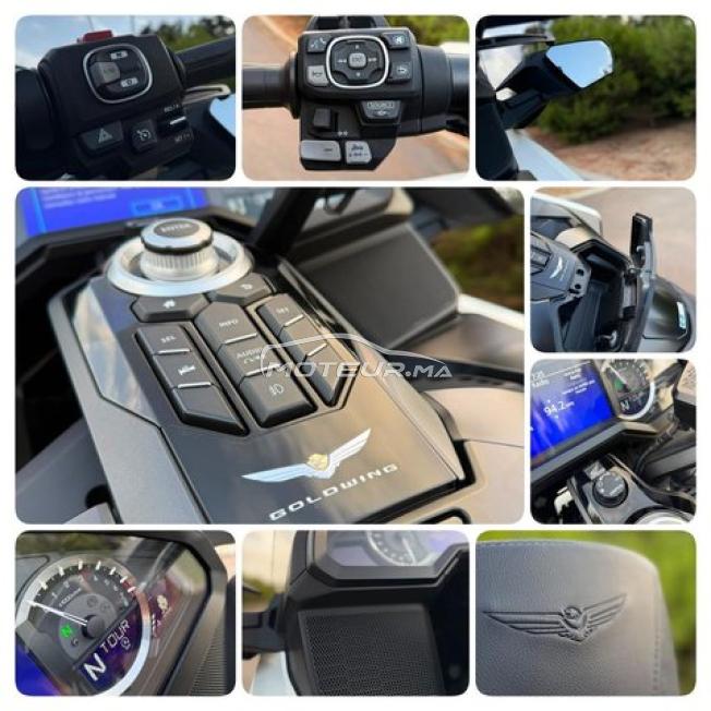 HONDA Goldwing 50th anniversary