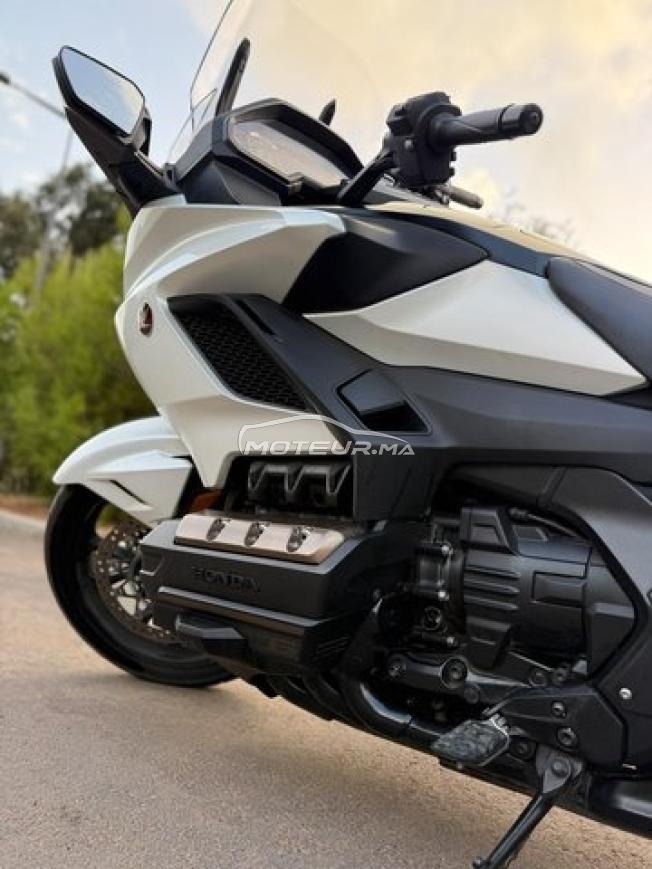 HONDA Goldwing 50th anniversary
