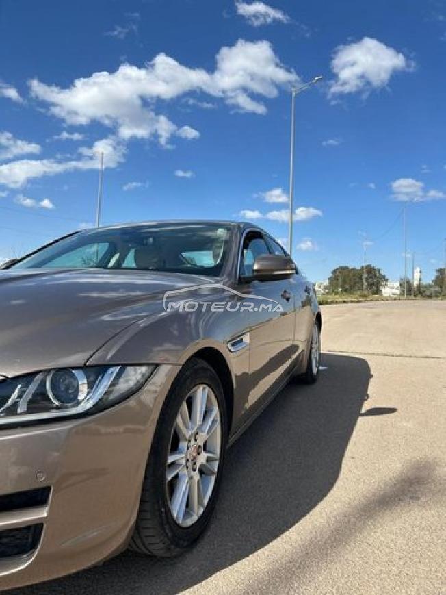 KIFAL - JAGUAR XE