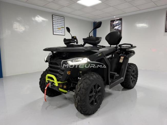 QUADS SNARLER AT6 segway 500 at5l