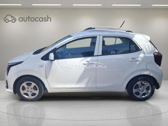 2122 - Kia Picanto 2025 expertisée avec financemen