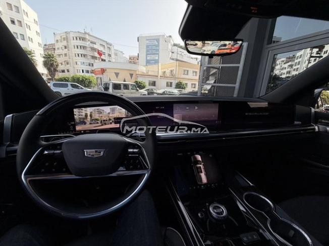 Cadillac escalade sport luxury 