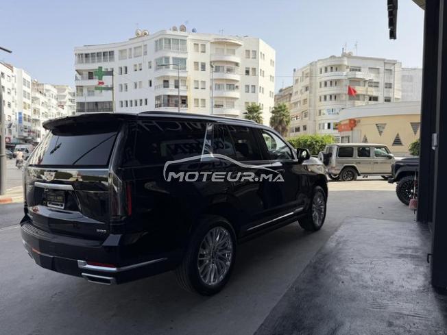 Cadillac escalade sport luxury 