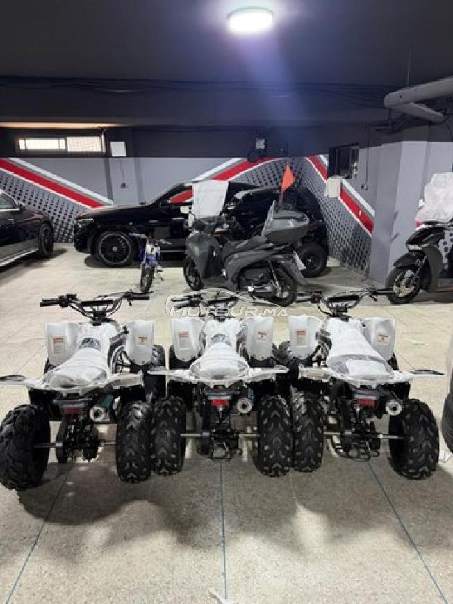 Quad LPR TROOPER 110