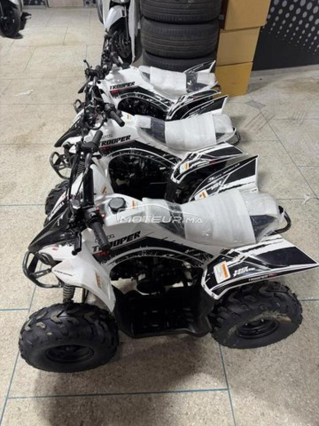 Quad LPR TROOPER 110