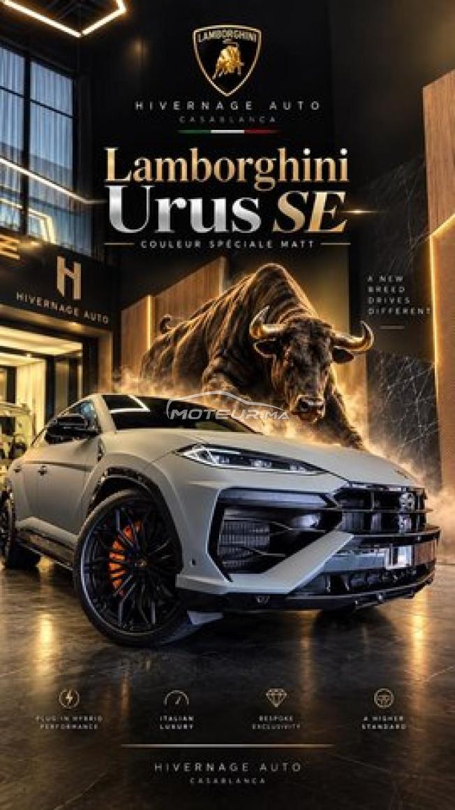 Lamborghini Urus Hybride SE(Vehicule Neuf 2026)