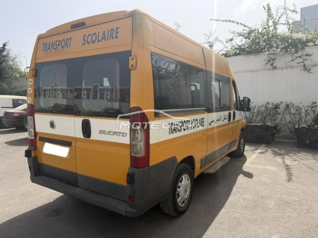 Fiat Ducato Transport Scolaire 