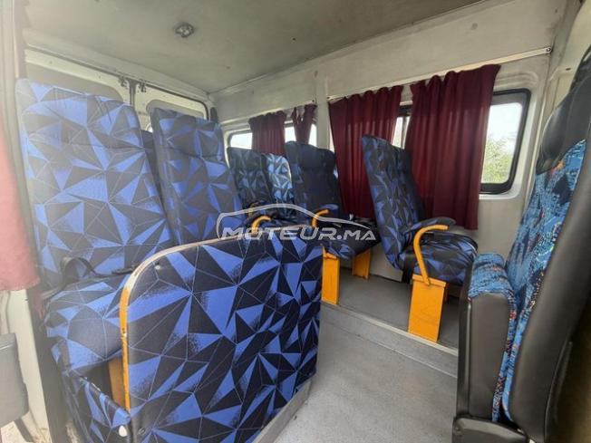 Fiat Ducato Transport Scolaire 