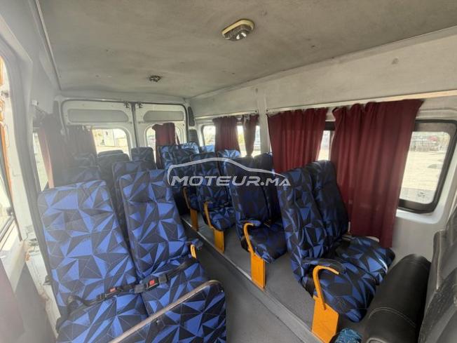Fiat Ducato Transport Scolaire 