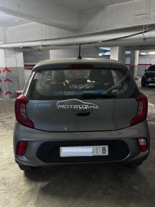 kia picanto