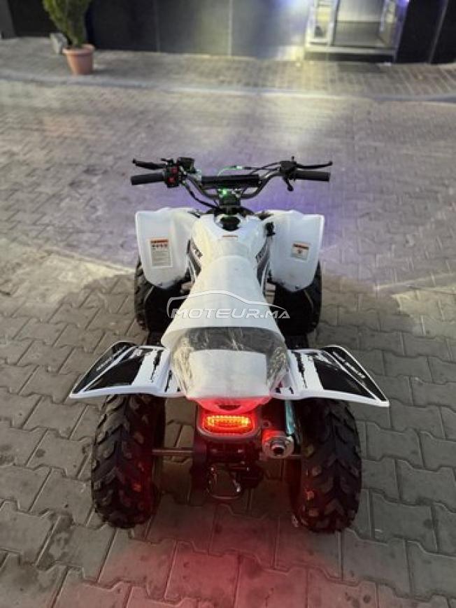 Quad LPR TROOPER 110
