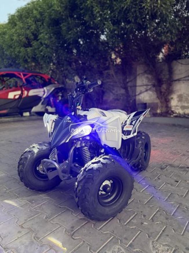 Quad LPR TROOPER 110