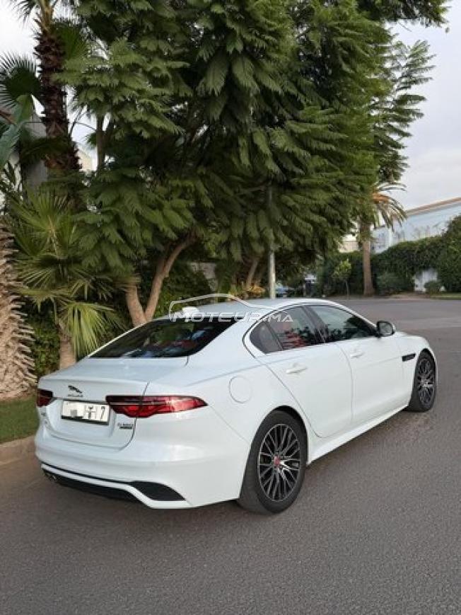 Jaguar XE R sport face lift 
