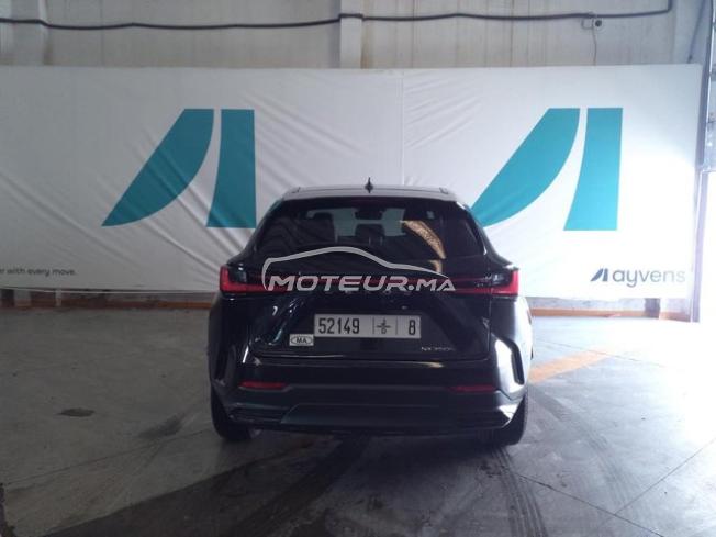 Lexus NX 350h Hybride BUSINESS BVA 2022