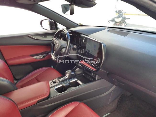 Lexus NX 350h Hybride BUSINESS BVA 2022