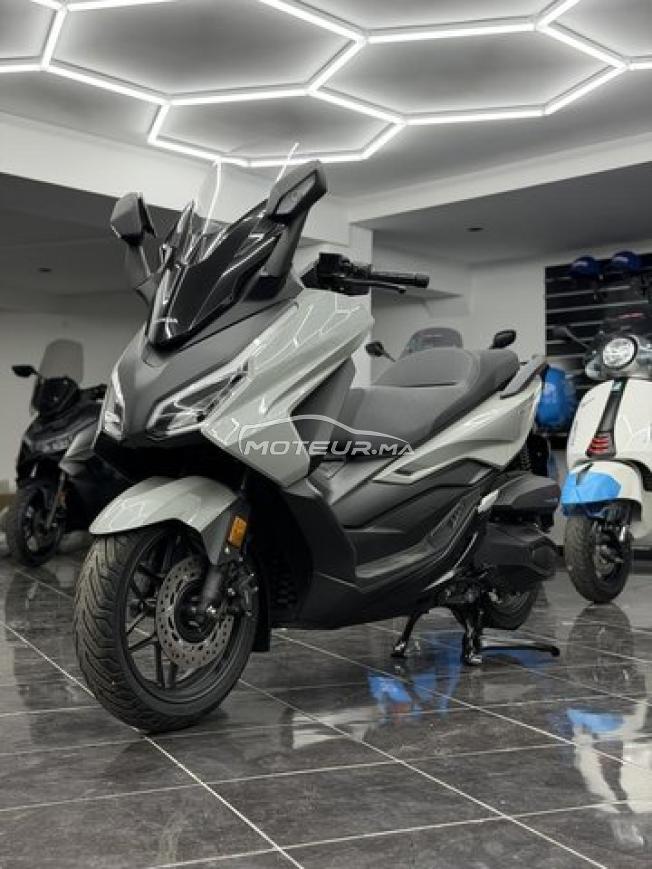 Honda Forza 350 Gris Nardo 2026 - DERKAOUI MOTO
