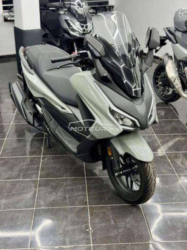 Honda Forza 350 Gris Nardo 2026 - DERKAOUI MOTO