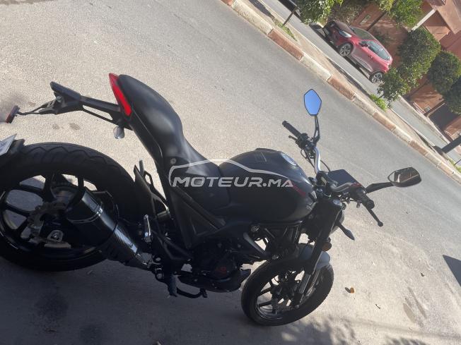 Cimatti Monstre Evo 4