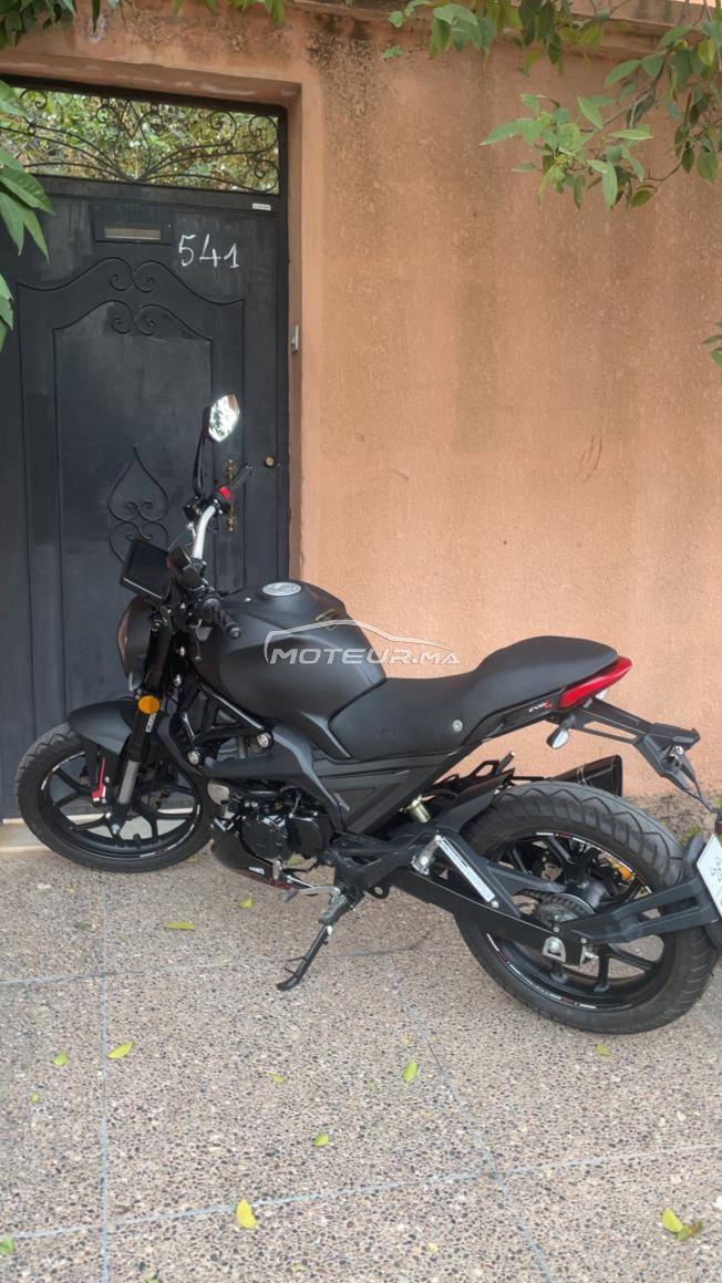 Cimatti Monstre Evo 4