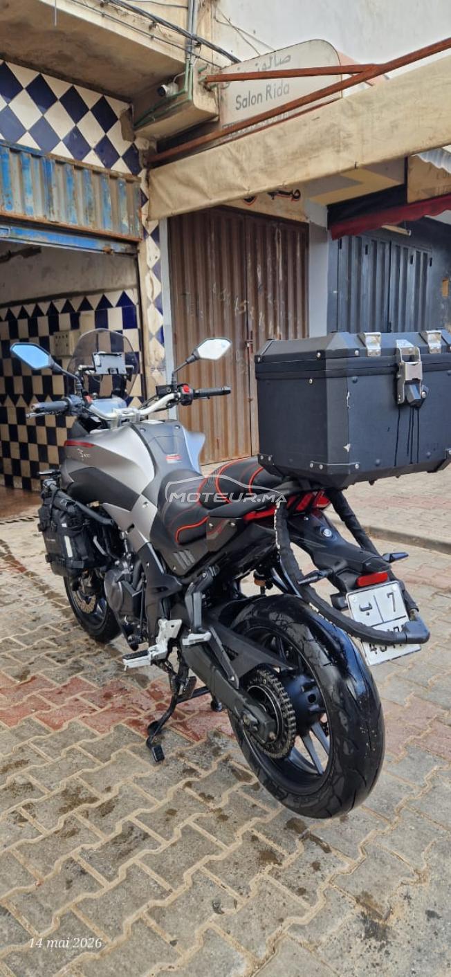 Voge 500 DS – Modèle 2023