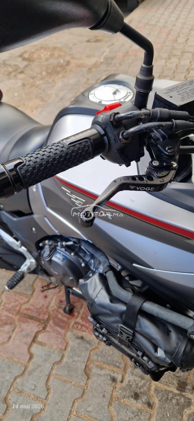 Voge 500 DS – Modèle 2023