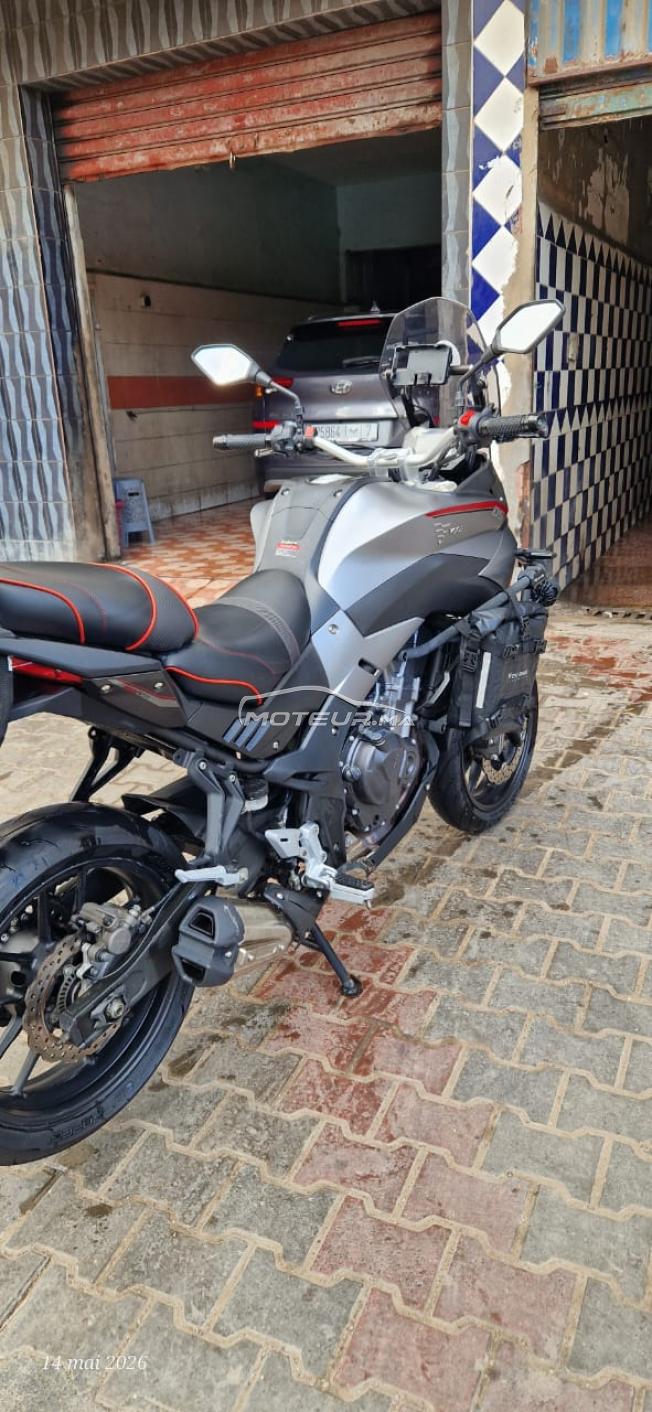 Voge 500 DS – Modèle 2023