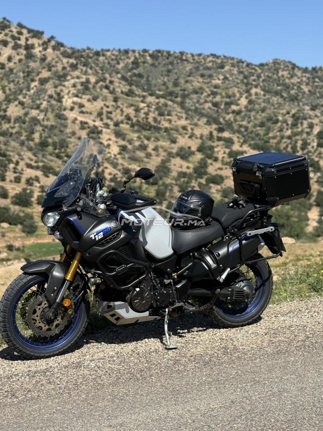 Super tenere 1200