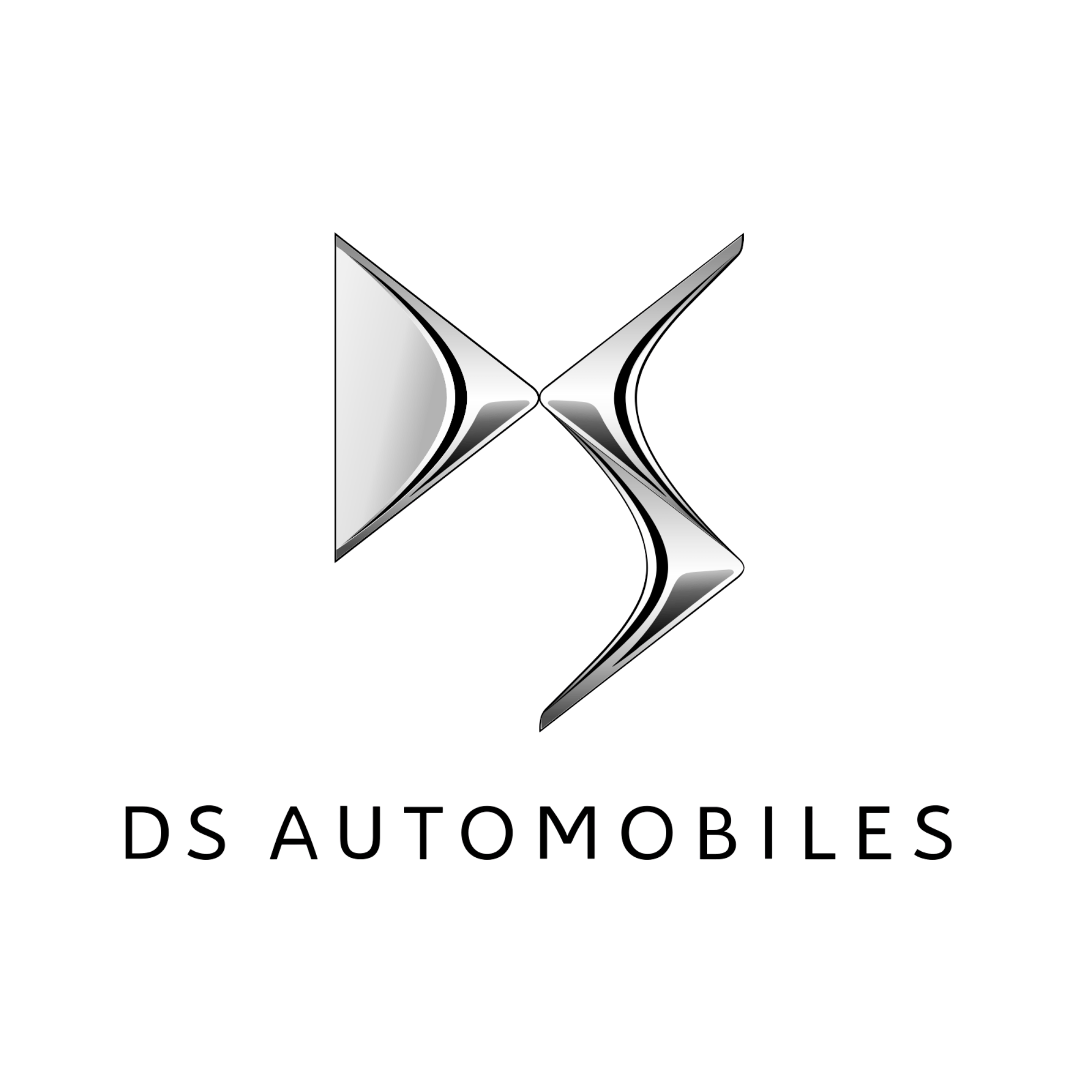 DS logo