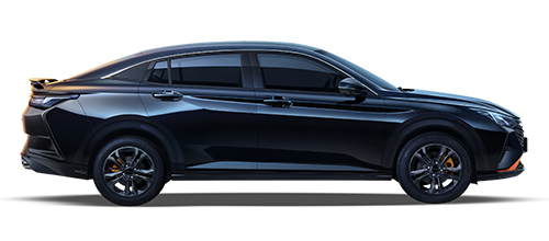 Dongfeng shine image